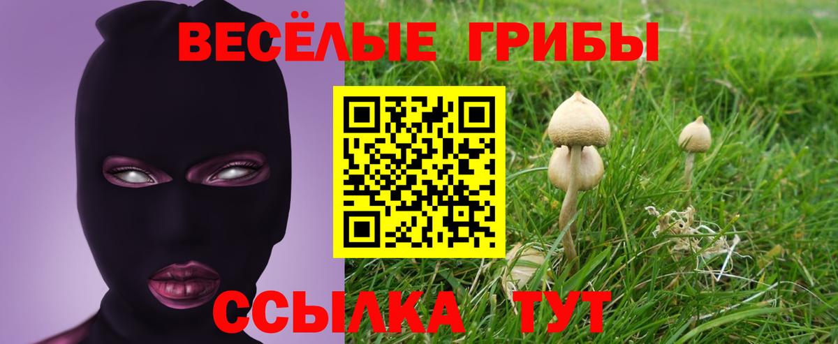 Псилоцибиновые грибы Magic Shrooms  Вход с VPN  Сочи  Галлюциногенные грибы ЛСД 